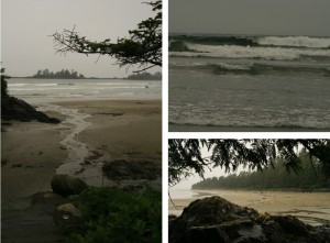 collage with pictures of mystic Cox Bay on a rainy day, Vancouver Island, Canada