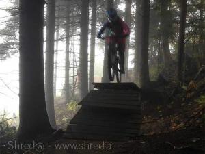 mystic forrest on sweet & sexy trail at bikepark semmering